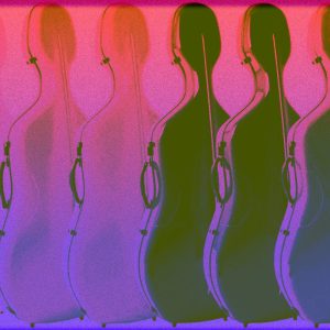 CUSTODIE VIOLONCELLO