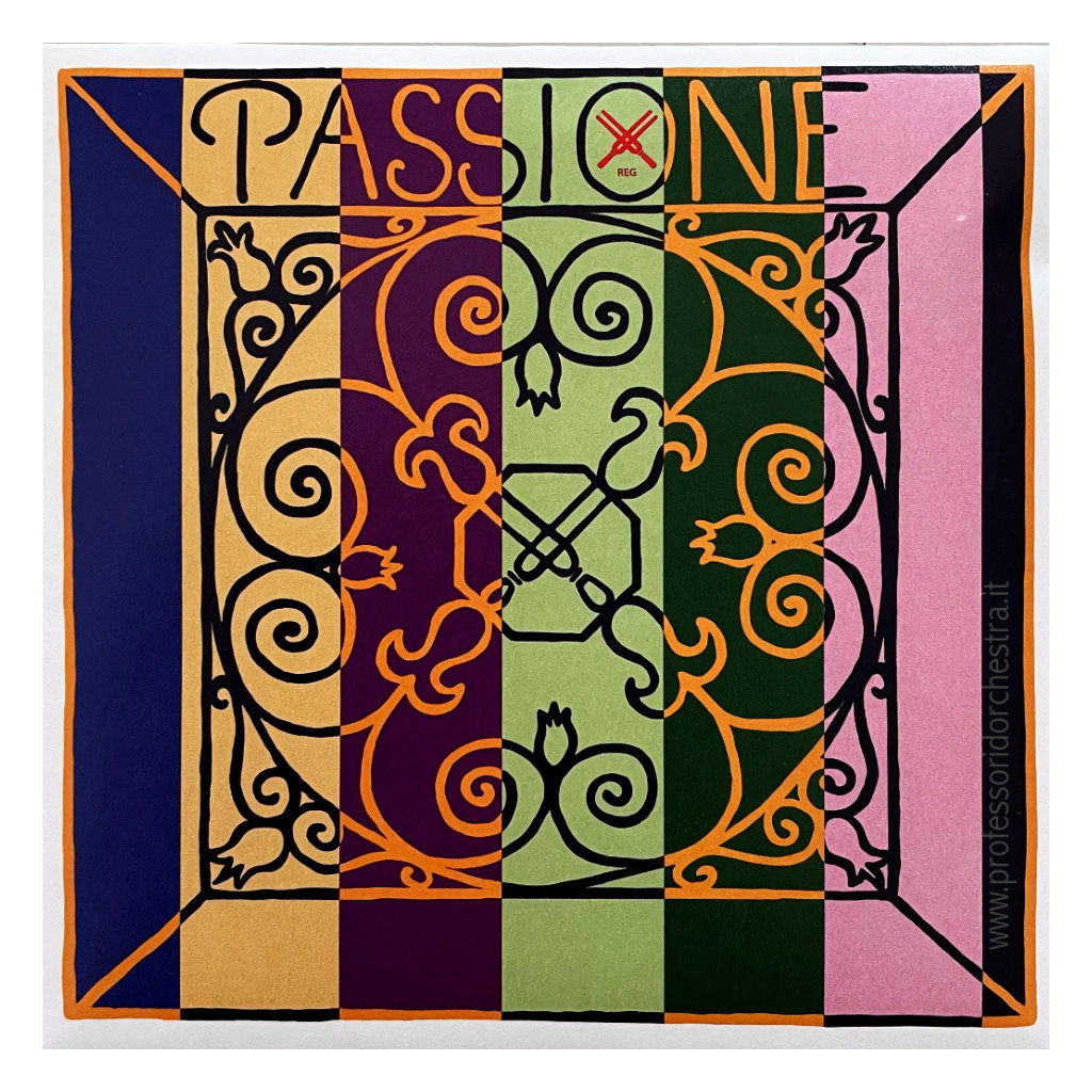 PASSIONE - SET CORDE PER VIOLINO