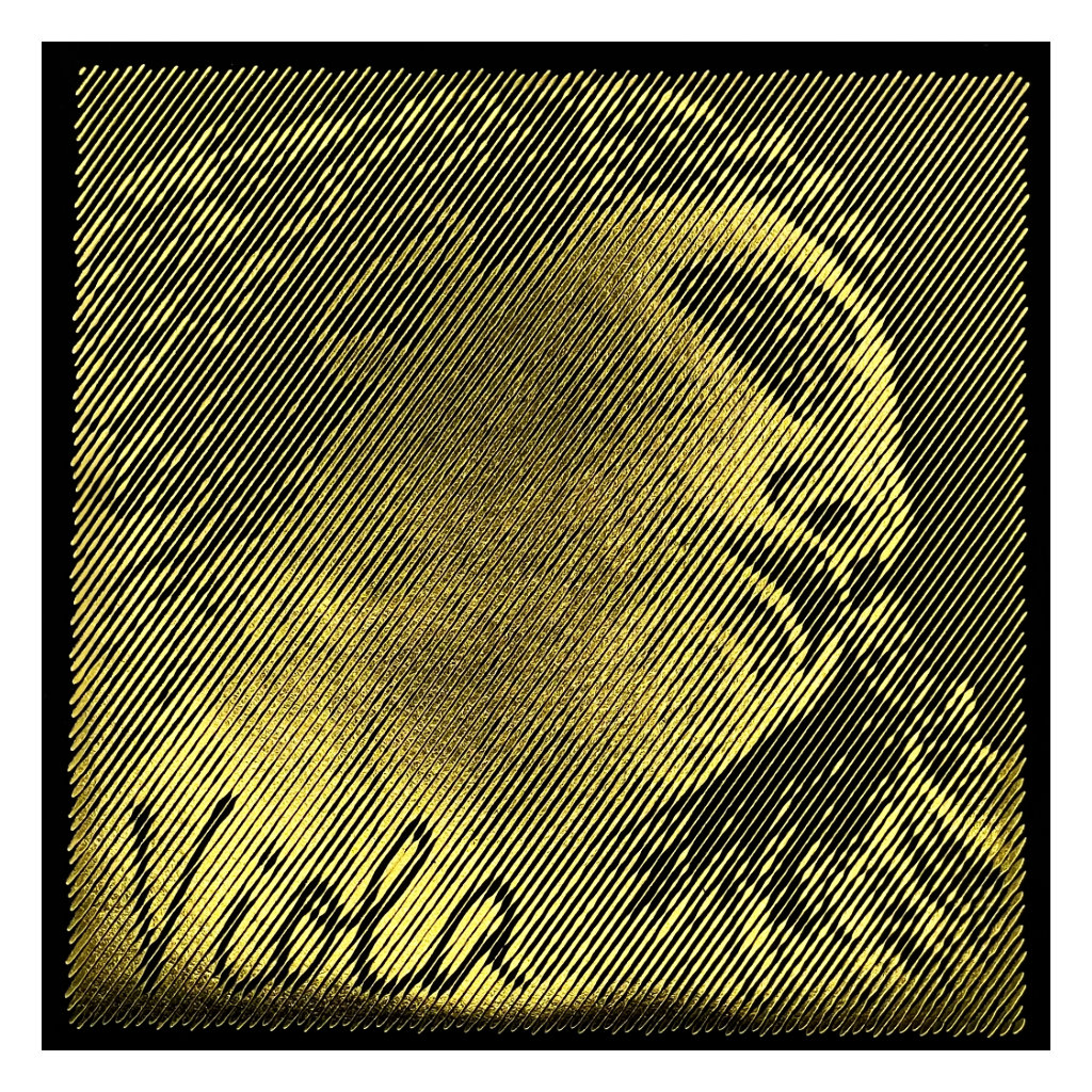 EVAH PIRAZZI GOLD - SET CORDE PER VIOLA - DO WOLFRAM