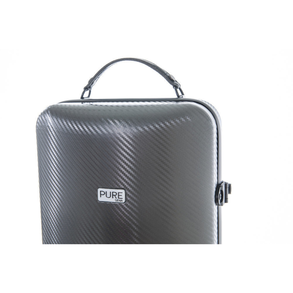 GEWA PURE - CUSTODIA PER VIOLINO - GRIGIO - immagine 5